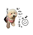 もめちら すたんぷ（個別スタンプ：13）