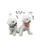 もめちら すたんぷ（個別スタンプ：15）