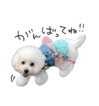 もめちら すたんぷ（個別スタンプ：18）