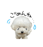 もめちら すたんぷ（個別スタンプ：19）