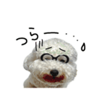 もめちら すたんぷ（個別スタンプ：21）
