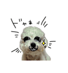 もめちら すたんぷ（個別スタンプ：22）