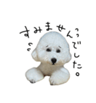 もめちら すたんぷ（個別スタンプ：23）