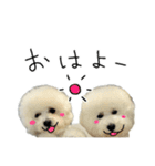 もめちら すたんぷ（個別スタンプ：24）