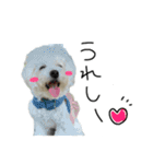もめちら すたんぷ（個別スタンプ：25）