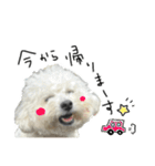 もめちら すたんぷ（個別スタンプ：26）