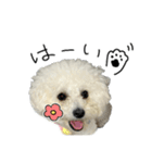 もめちら すたんぷ（個別スタンプ：27）