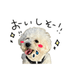 もめちら すたんぷ（個別スタンプ：28）