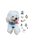 もめちら すたんぷ（個別スタンプ：29）