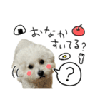 もめちら すたんぷ（個別スタンプ：30）