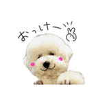もめちら すたんぷ（個別スタンプ：31）