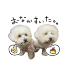 もめちら すたんぷ（個別スタンプ：33）