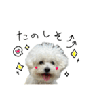 もめちら すたんぷ（個別スタンプ：34）
