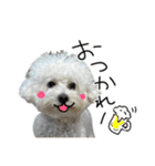もめちら すたんぷ（個別スタンプ：36）