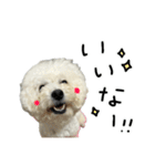 もめちら すたんぷ（個別スタンプ：37）