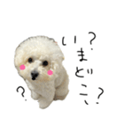 もめちら すたんぷ（個別スタンプ：38）