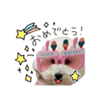 もめちら すたんぷ（個別スタンプ：39）