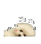 もめちら すたんぷ（個別スタンプ：40）