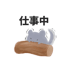 日常用チンチラ(時々関西弁)（個別スタンプ：5）