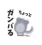 日常用チンチラ(時々関西弁)（個別スタンプ：6）