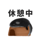日常用チンチラ(時々関西弁)（個別スタンプ：7）
