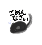 日常用チンチラ(時々関西弁)（個別スタンプ：24）