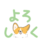 でか文字コギまるけ（個別スタンプ：16）