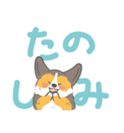 でか文字コギまるけ（個別スタンプ：18）