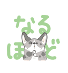 でか文字コギまるけ（個別スタンプ：22）