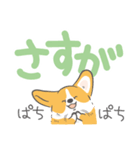 でか文字コギまるけ（個別スタンプ：24）