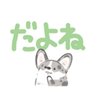 でか文字コギまるけ（個別スタンプ：30）