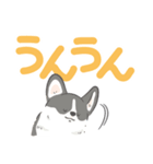 でか文字コギまるけ（個別スタンプ：31）