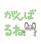 でか文字コギまるけ（個別スタンプ：38）