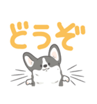 でか文字コギまるけ（個別スタンプ：39）
