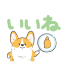 でか文字コギまるけ（個別スタンプ：40）