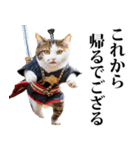 武士☆にゃんこ (其の二)（個別スタンプ：9）