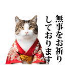 武士☆にゃんこ (其の二)（個別スタンプ：11）