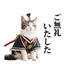 武士☆にゃんこ (其の二)（個別スタンプ：22）