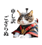 武士☆にゃんこ (其の二)（個別スタンプ：23）