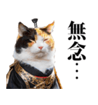 武士☆にゃんこ (其の二)（個別スタンプ：24）