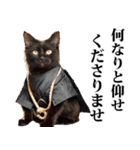 武士☆にゃんこ (其の二)（個別スタンプ：25）