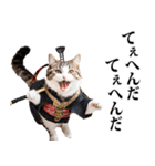 武士☆にゃんこ (其の二)（個別スタンプ：26）