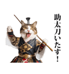 武士☆にゃんこ (其の二)（個別スタンプ：33）