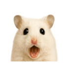 様々な動物の表情スタンプ40個 お得セット（個別スタンプ：16）