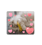 うごくぷるるんちっち（個別スタンプ：2）
