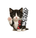 日常会話verマンチカン4（個別スタンプ：5）