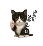 日常会話verマンチカン4（個別スタンプ：7）
