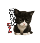 日常会話verマンチカン4（個別スタンプ：11）