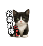 日常会話verマンチカン4（個別スタンプ：13）