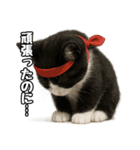 日常会話verマンチカン4（個別スタンプ：14）